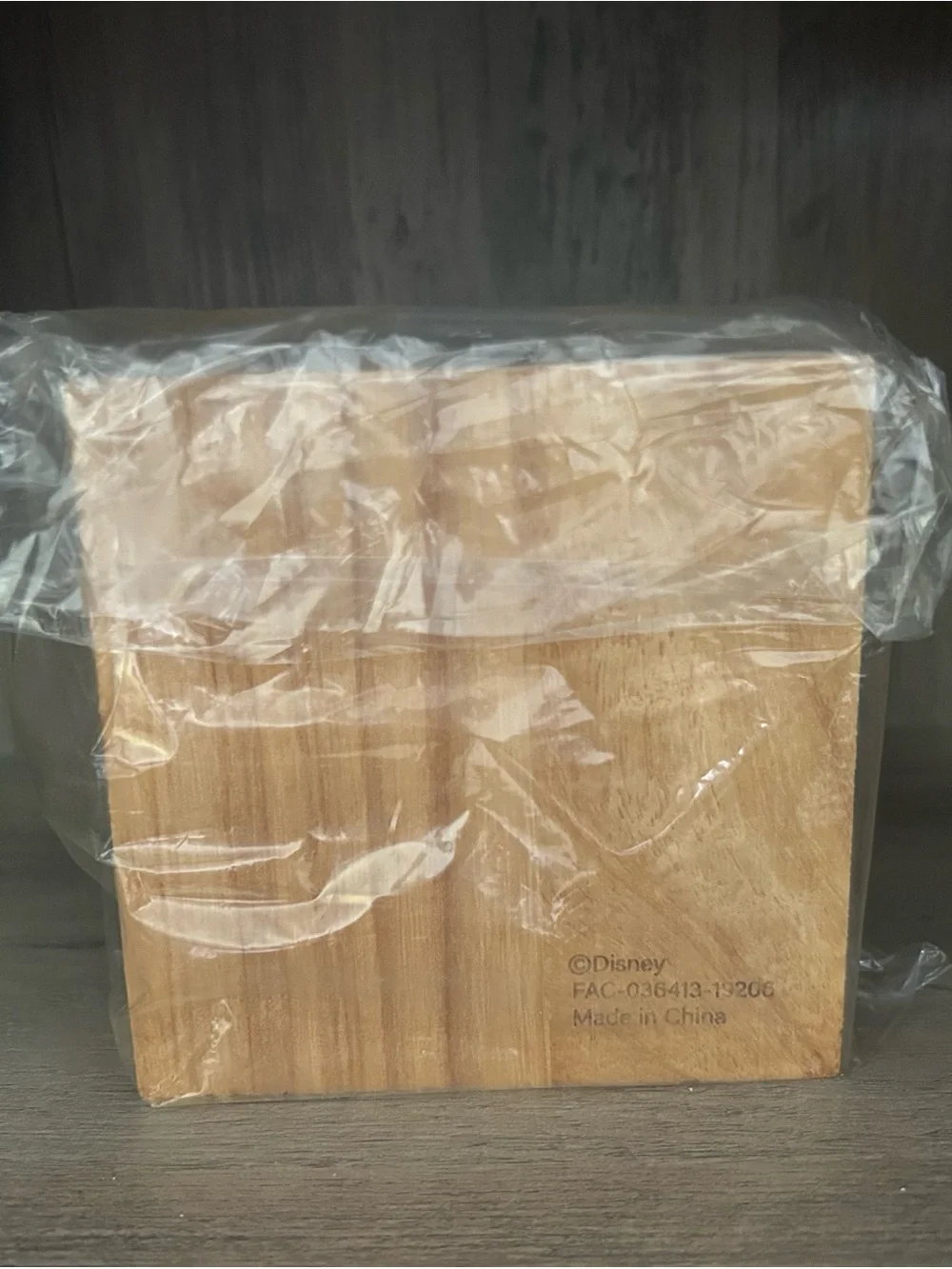 Collectible Disney World Passholder Wooden Coaster Set with Holder